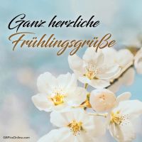 Weiße Blüten läuten den Frühling ein, eine Zeit der Erneuerung und Freude.