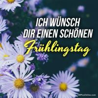 Weiße und lila Blüten erblühen in voller Pracht, ein Zeichen der erwachenden Natur.