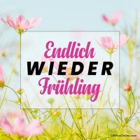 Blühende Blumen und frische Farben verkünden die Ankunft des Frühlings.