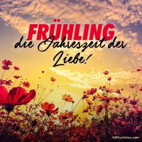 Blumen und Sonnenuntergang kündigen die schönste Zeit des Jahres an - den Frühling, wo alles auf Liebe eingestellt ist!