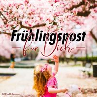 Ein kleines Mädchen genießt ausgelassen das Blütenmeer im Frühling.