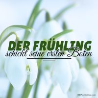 Zarte Schneeglöckchen kündigen leise den Beginn des Frühlings an.
