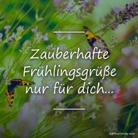 Ein Schmetterling flattert leise zwischen blühenden Frühlingsblumen.