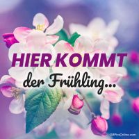 Blühende Farben kündigen die Ankunft des Frühlings an.