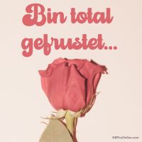 Eine einzelne Rose reflektiert stille Emotionen und tiefe Sehnsüchte.