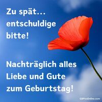 Ein blühender Gruß gegen das Vergessen: Hoffentlich kann diese strahlende Blume deinen Tag versüßen.