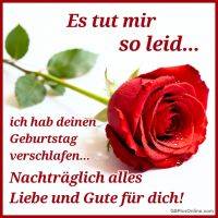 Rote Rose mit Wassertropfen und Entschuldigung für einen verpassten Geburtstag als Grußtext