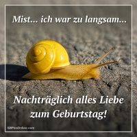 Gelbe Schnecke auf Asphalt, dazu Spruch: verspätete Glückwünsche zum Geburtstag
