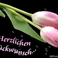 Herzlichen Glückw...