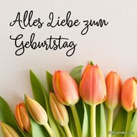 Alles Liebe zum...