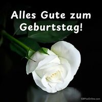 Alles Gute zum...