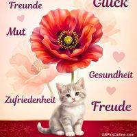 Rote Blüte und sitzendes Kätzchen, umgeben von Wörtern wie Liebe, Glück und Gesundheit