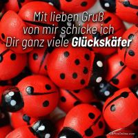 Ein Meer von Marienkäfern als Symbol für Glück und Freude.