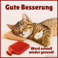 Ein Kätzchen ruht sich aus und träumt von einer baldigen Genesung, umgeben von Wärme und Liebe.