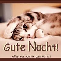 Gute Nacht!