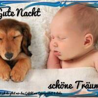 Gute Nacht, schön...