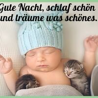 Gute Nacht, schla...