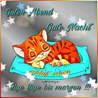 Guten Abend. Gute...