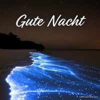 Gute Nacht.