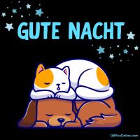 Gute Nacht.