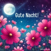 Gute Nacht!