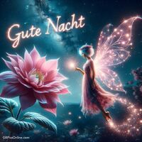 Gute Nacht.