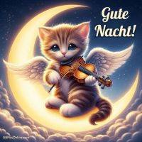 Ein süßes Engelchen-Kätzchen spielt auf dem Mond eine sanfte Schlafmelodie unter funkelnden Sternen.