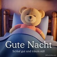Gute Nacht. Schla...