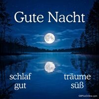 Gute Nacht, schla...