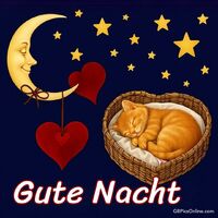 Gute Nacht.