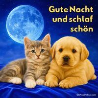 Gute Nacht und...