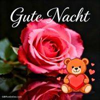 Rosa Rose mit Spiegelung, dazu Teddybär mit Herz und kleinen Herzen
