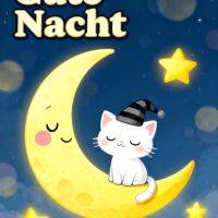 Schlafende Katze mit Mütze sitzt auf lächelndem Mond, umgeben von Sternen am Nachthimmel
