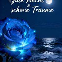 Leuchtende blaue Rose am Meer bei Nacht, Mondschein und Sterne, Grußtext oben