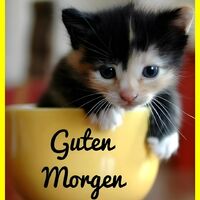 Guten Morgen...