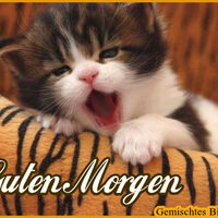 Guten Morgen