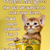 Guten Morgen...