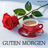 Guten Morgen.