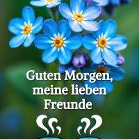 Blaue Vergissmeinnicht-Blüten mit Grußtext und zwei dampfenden Kaffeetassen unten