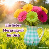 Bunter Gerbera-Strauß in kariertem Krug auf einer Wiese im Morgenlicht, mit Grußtext