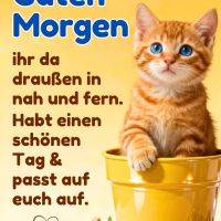 Orangefarbenes Kätzchen mit blauen Augen sitzt in einem gelben Eimer vor gelbem Hintergrund mit Grußtext