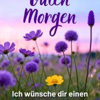 Wiese mit violetten und gelben Blumen vor rosa-blauem Himmel, darüber Grußtext „Guten Morgen“