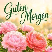 Rosa Pfingstrosen im Sonnenlicht mit Grußtext „Ich wünsch dir einen guten Morgen“