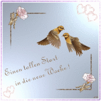 Einen tollen Star...