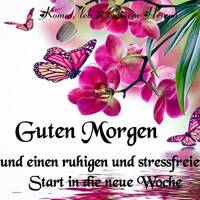 Guten Morgen und...