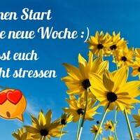 Schönen Start in...