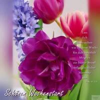 Schönen Wochensta...