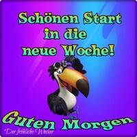Schönen Start in...