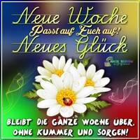Neue Woche - Neue...