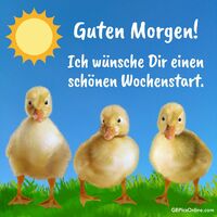 Guten Morgen!...
